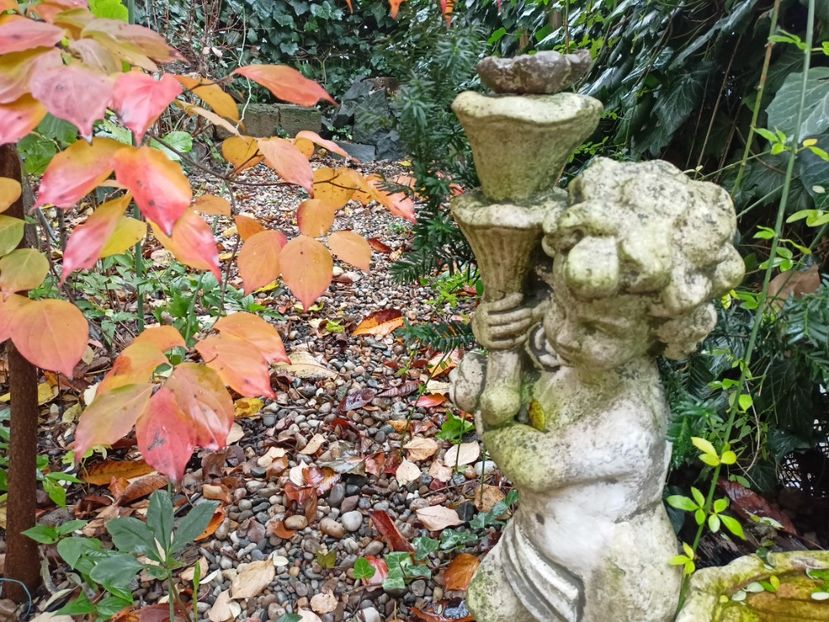  - Grădina 2023 continuare 5