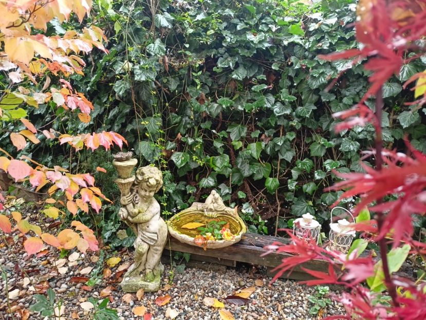  - Grădina 2023 continuare 5