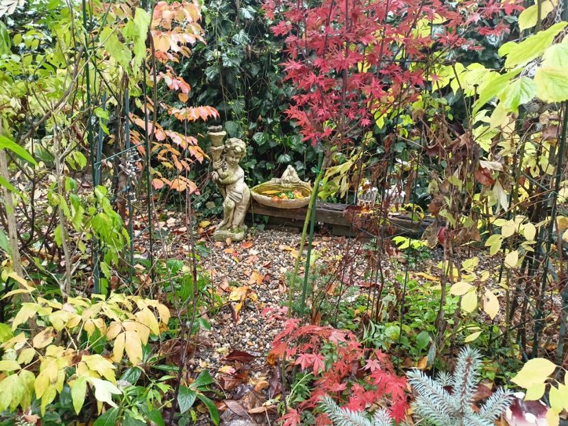  - Grădina 2023 continuare 5