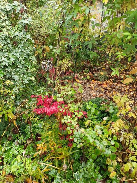  - Grădina 2023 continuare 5