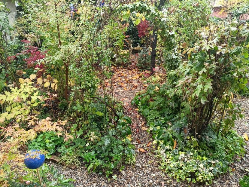  - Grădina 2023 continuare 5