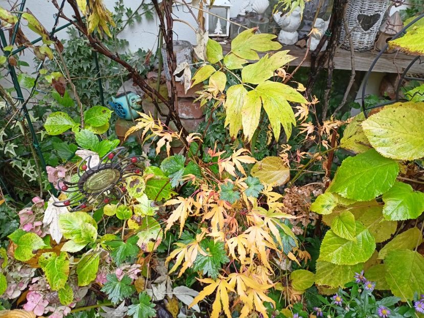 Manyo No Sato - Arțari