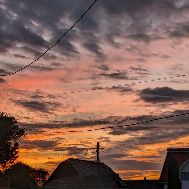  - Universul si Natura