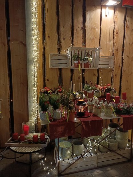 Img.2023.11.18 - Magazinul 3