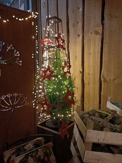 Img.2023.11.18 - Magazinul 3