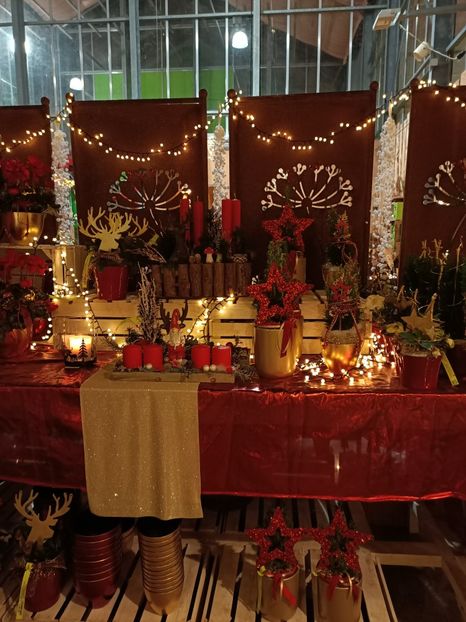 Img.2023.11.18 - Magazinul 3