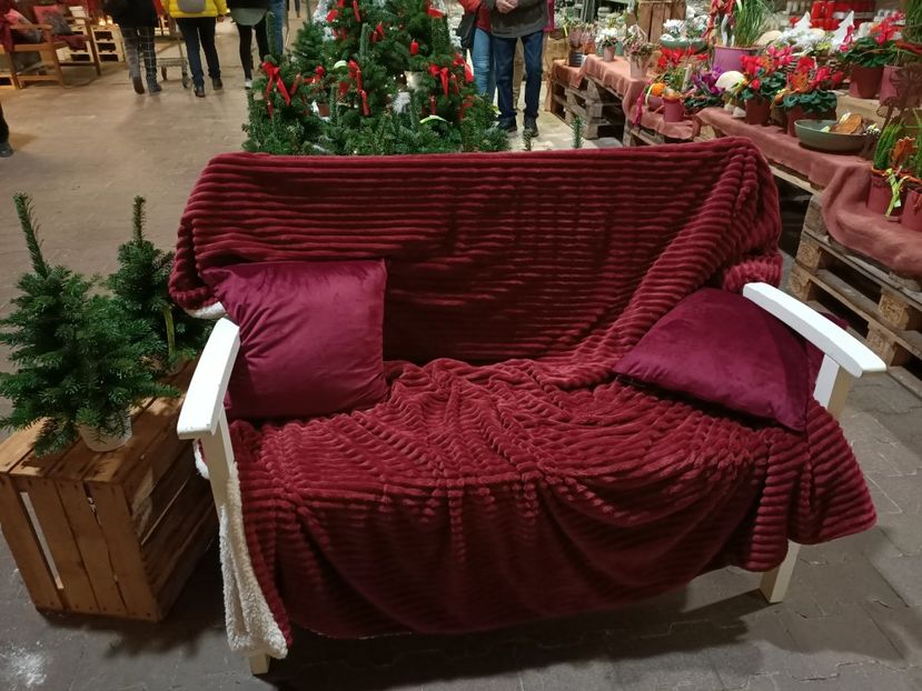 Img.2023.11.18 - Magazinul 3