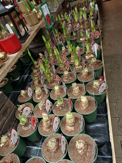 Img.2023.11.18 - Magazinul 3