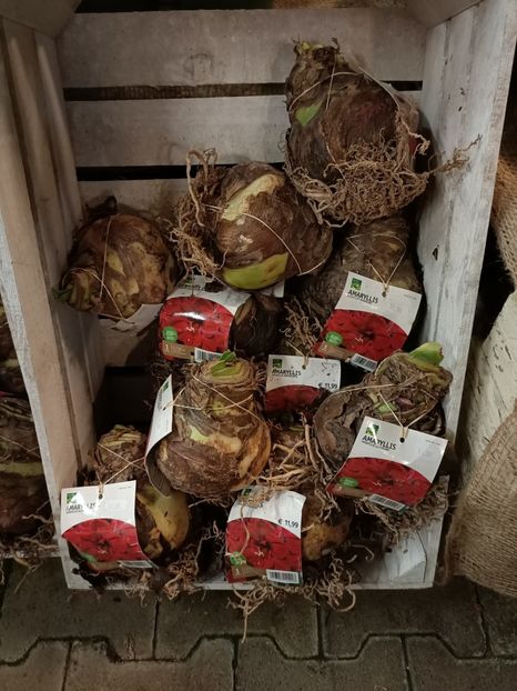 Img.2023.11.18 - Magazinul 3