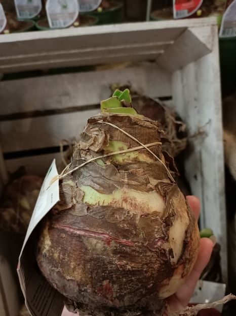 Img.2023.11.18 - Magazinul 3