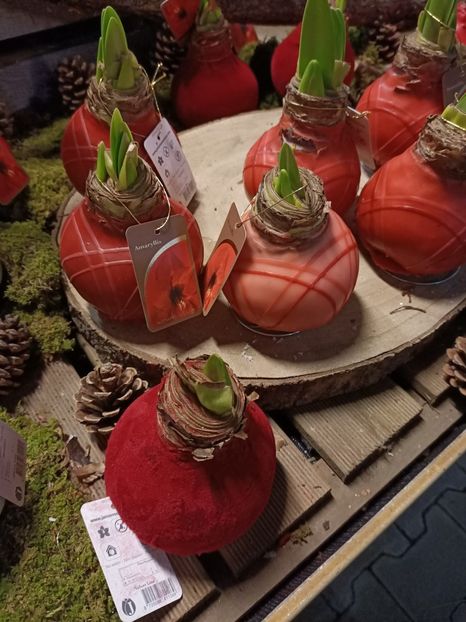 Img.2023.11.18 - Magazinul 3