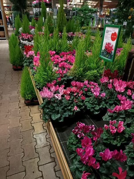 Img.2023.11.18 - Magazinul 3