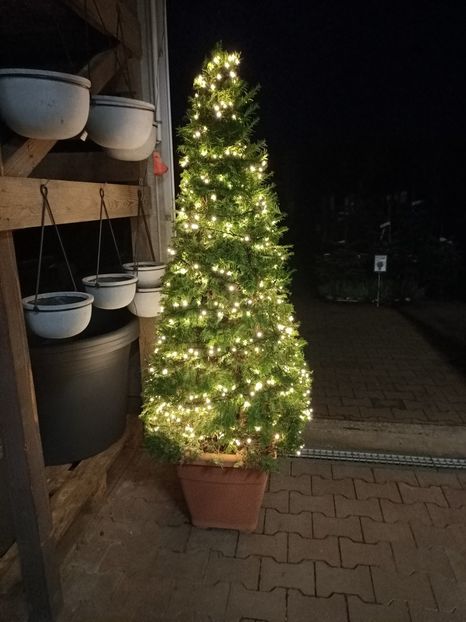 Img.2023.11.18 - Magazinul 3