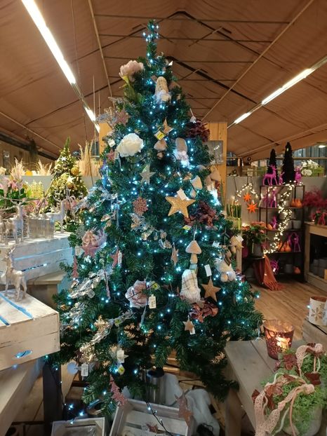 Img.2023.11.18 - Magazinul 3
