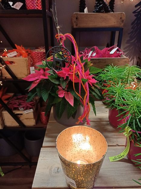 Img.2023.11.18 - Magazinul 3