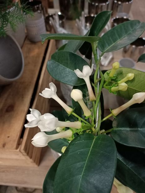 Img.2023.11.18 - Magazinul 3