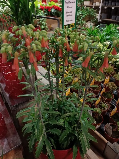 Img.2023.11.18 - Magazinul 3