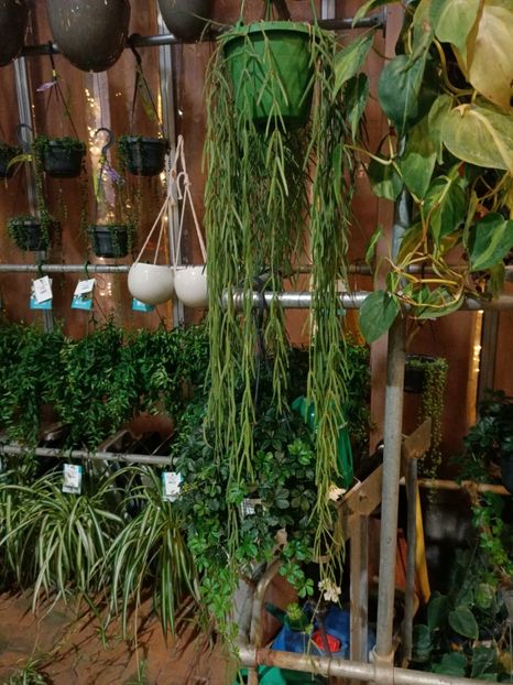 Img.2023.11.18 - Magazinul 3