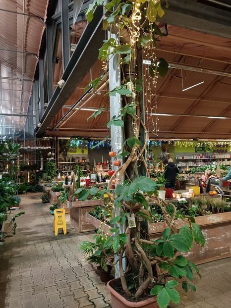 Img.2023.11.18 - Magazinul 3