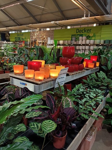 Img.2023.11.18 - Magazinul 3