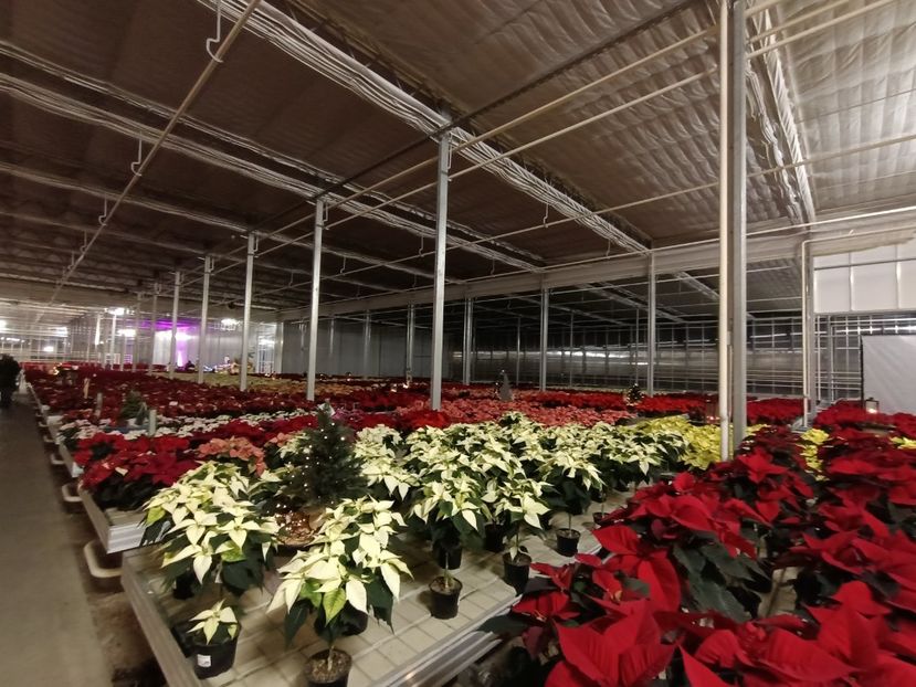 Img.2023.11.18 - Magazinul 3