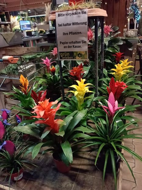 Img.2023.11.18 - Magazinul 3