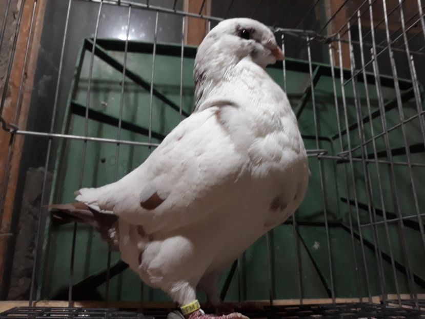 20231117_225710[1] - Amintiri