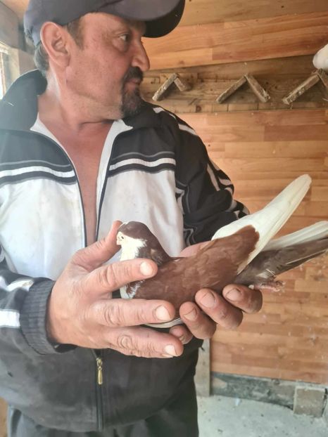  - 1959 Gheorghe Coloji