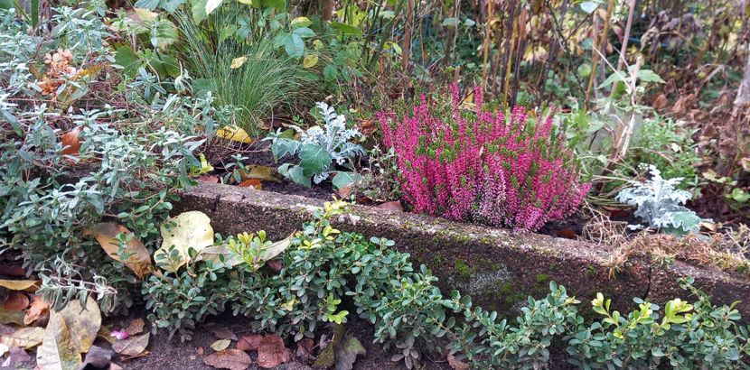  - 2023 - 03 - Toamna