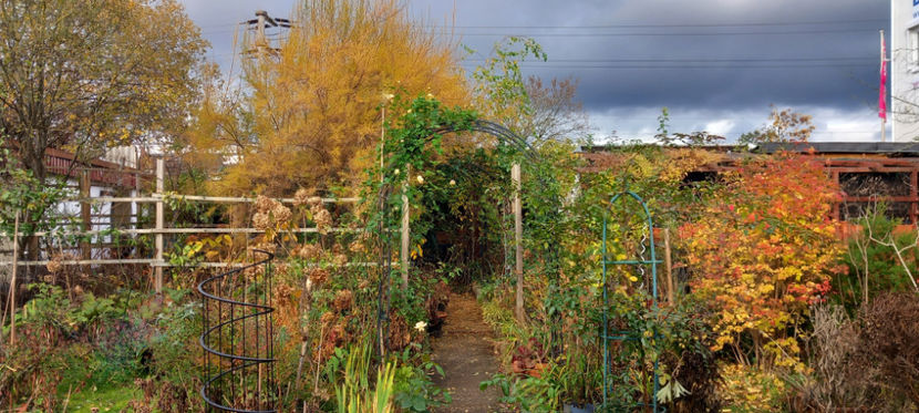  - 2023 - 03 - Toamna