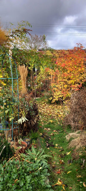  - 2023 - 03 - Toamna