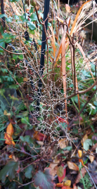  - 2023 - 03 - Toamna