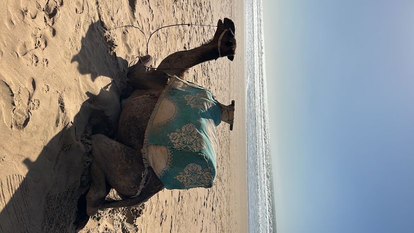 CE7C9E67-0C53-4F17-9BA3-EDBCFDE45C45 - 2023NOVEMBER11AGADIR