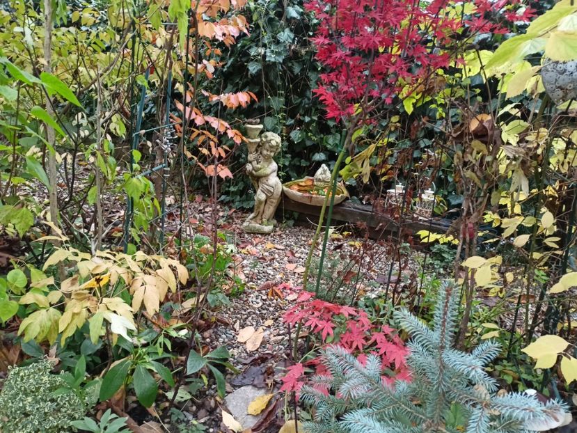  - Grădina 2023 continuare 5