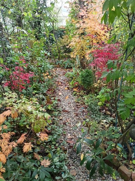  - Grădina 2023 continuare 5