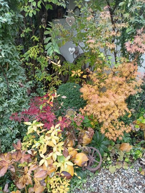 Firecracker și Seiryu - Arțari