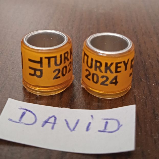 2024-Turcia-fara talon....-1 leu - Inele 2014