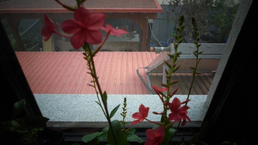  - Splendori in gradina