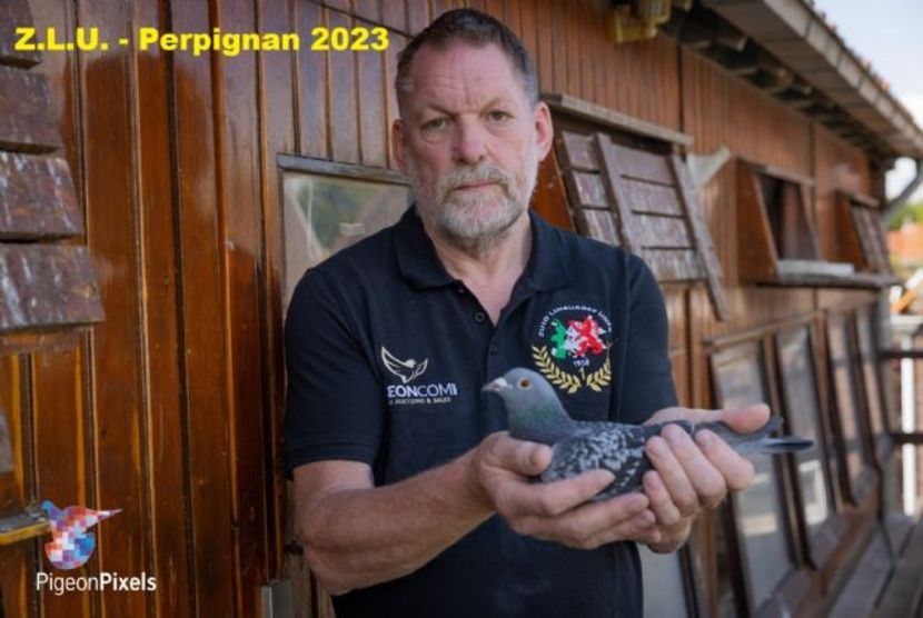 perpignanvluchtwinnaar-benniehomma001 - HOMBRE - original Bennie Homma Balk NL extrem marathon