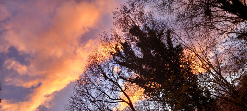  - 2023 - 03 - Toamna