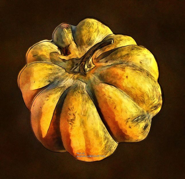 Squash - A - DECO ART - CANADA