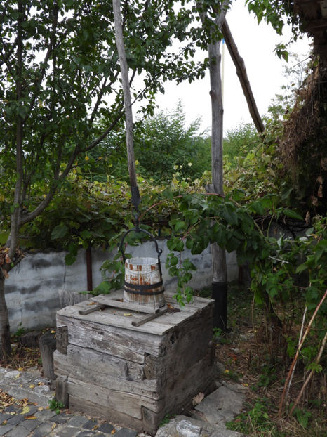  - Simboluri