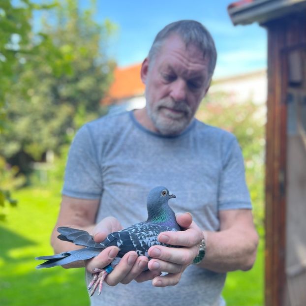  - HOMBRE - original Bennie Homma Balk NL extrem marathon