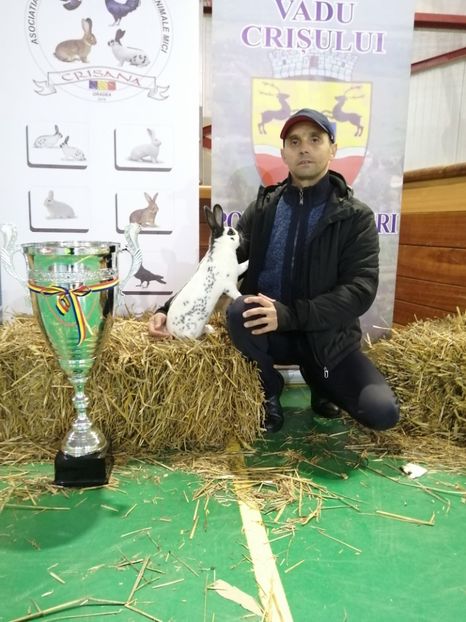  - 0 - REZ EXPO CRIȘANA ORADEA 2023