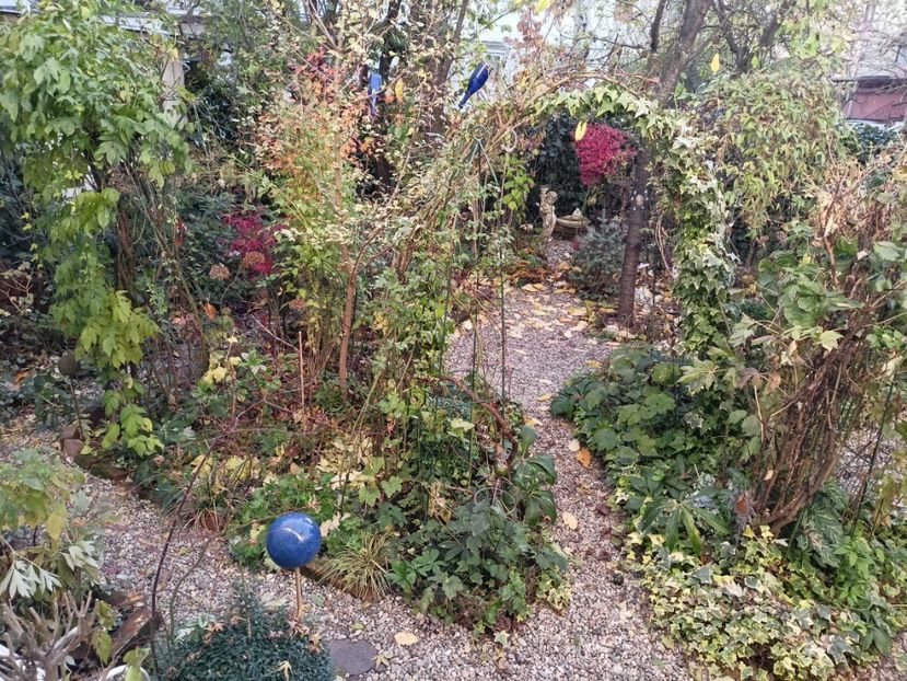 26.11.2023 - Arțari