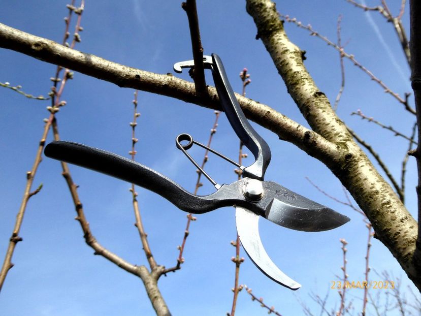 005foarfece_japonez - Senkichi Gold Series