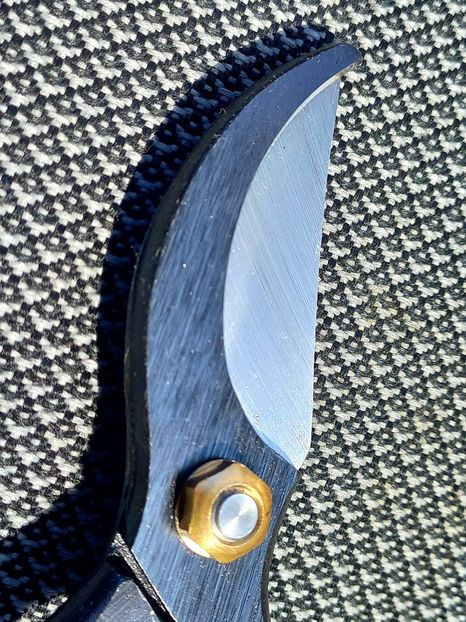  - Senkichi Gold Series