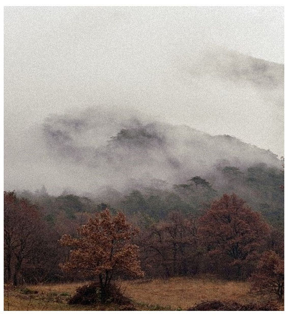 ♡ ɴᴏᴠᴇᴍʙᴇʀ 27 » „Ce am avut noi atunci.. un fel de răi pe pământ, și tot n-am fost de - Tomnatic și nostalgic