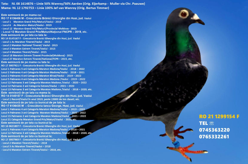 RO 21 1299154 F REZERVATA BUZAU 2 - ARHIVA