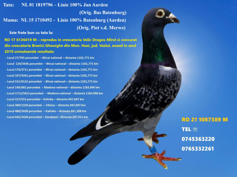 RO 21 1087389 M REZERVAT HUSI Pret 150 Lei + transportul - ARHIVA